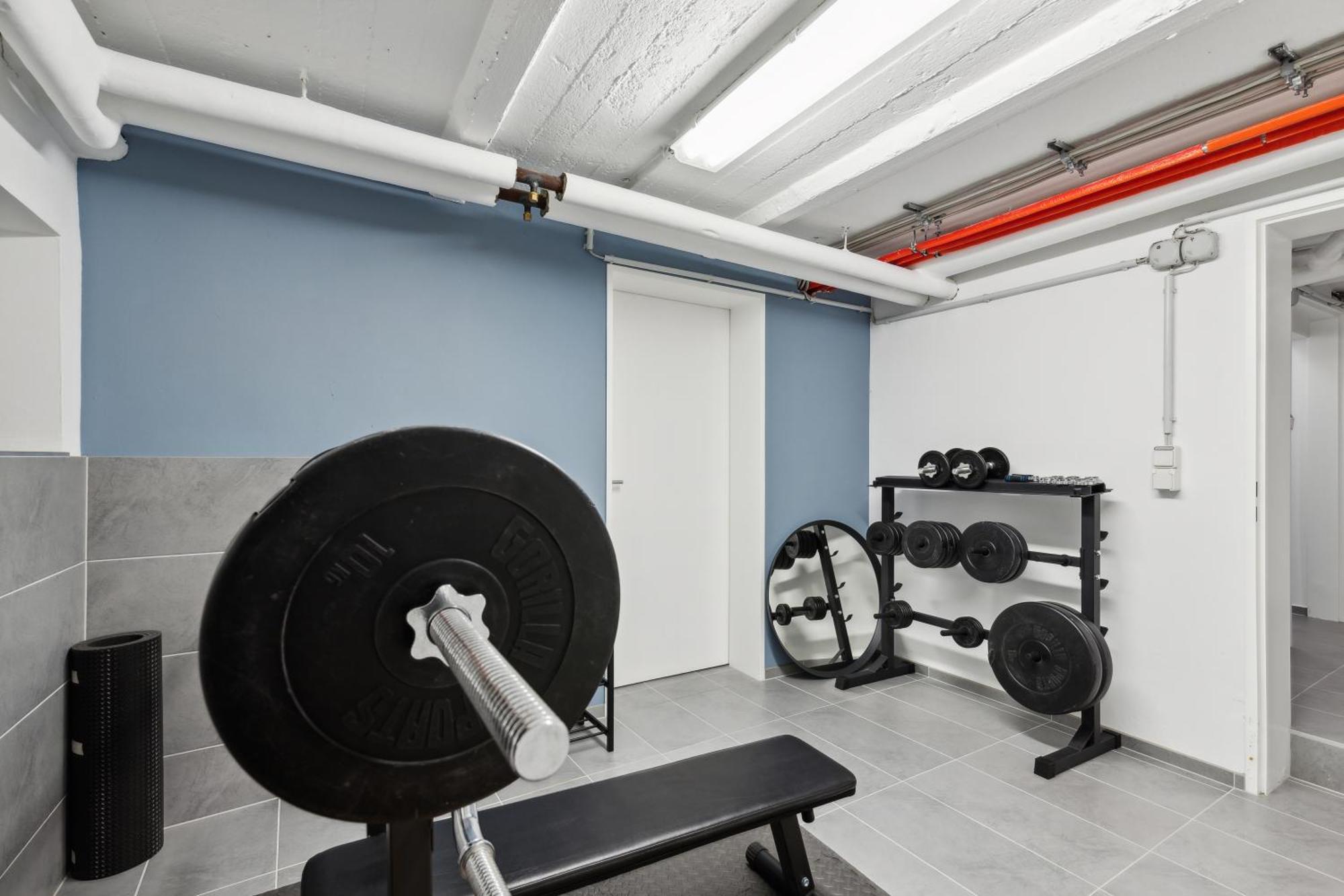 Modern Living - Basf - Ma - Pfalz - 1 Gym 2 Working Spaces Ludwigshafen am Rhein Luaran gambar